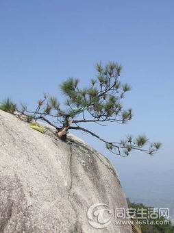 莲花山名胜风景区2.jpg