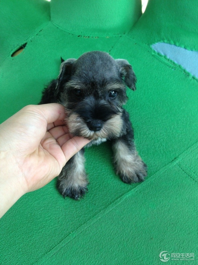 1202513kgw8g81vnvnixbi.jpg