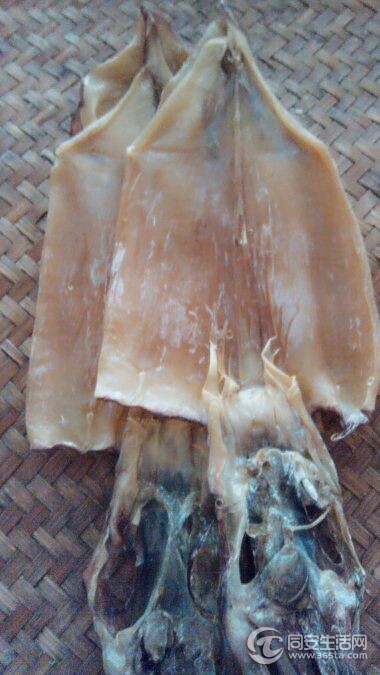 海鲜干货_海鲜干货包装_海鲜干货店名(2)