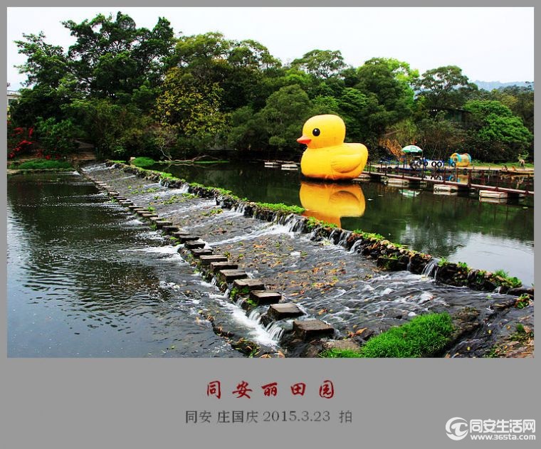 周末休闲好去处 同安丽田园