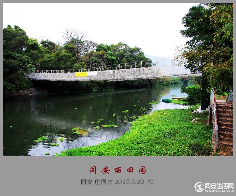 从同安到丽田园景区交通方便,有公交车可以直接到达.