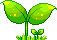 h.gif