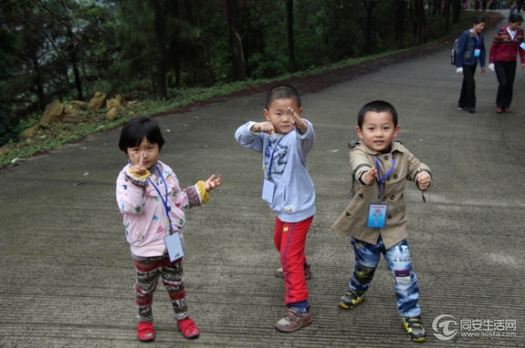 ecaa77f83102300fa8122e3cc0fe541d.jpg