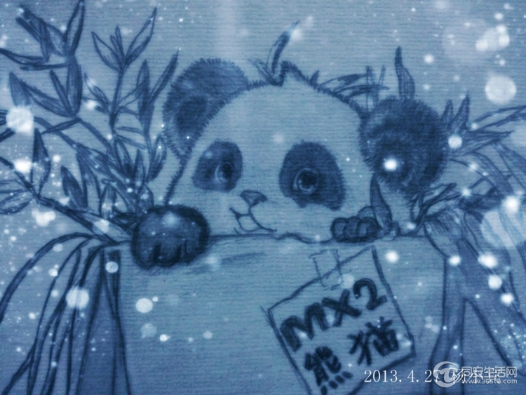 mx2熊猫国宝.jpg