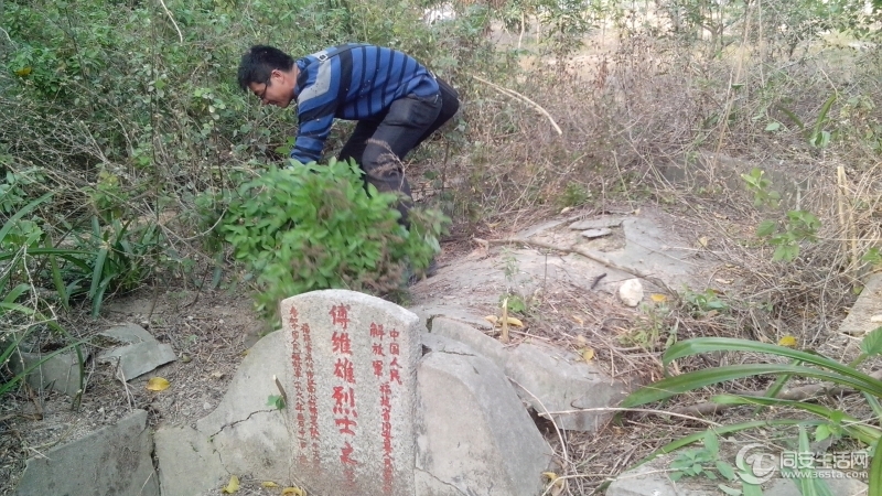 3月26日下午和志刚去大轮山后山清理烈士墓，