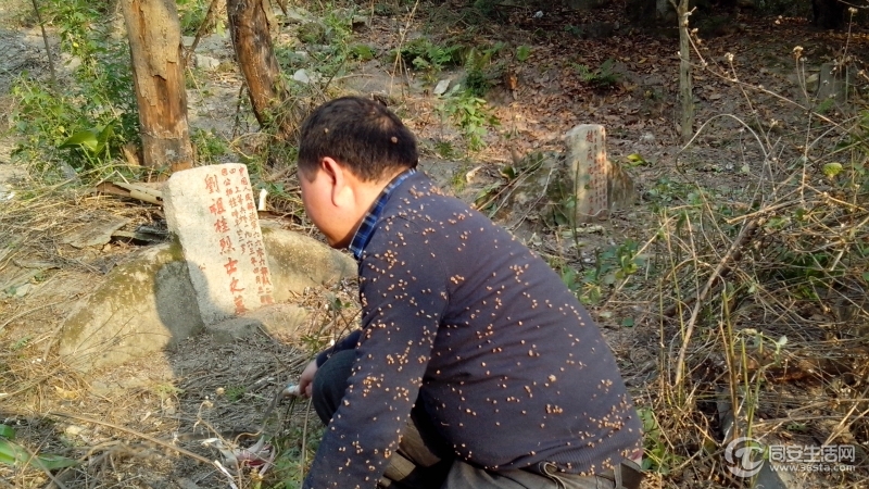 终于使三座烈士墓拨云见日了。