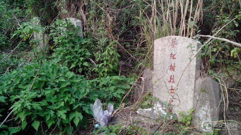 但更多是外地的，没扫过的大约20座，
