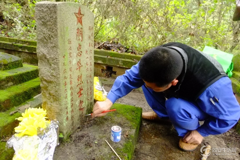 墓碑上已长青苔，