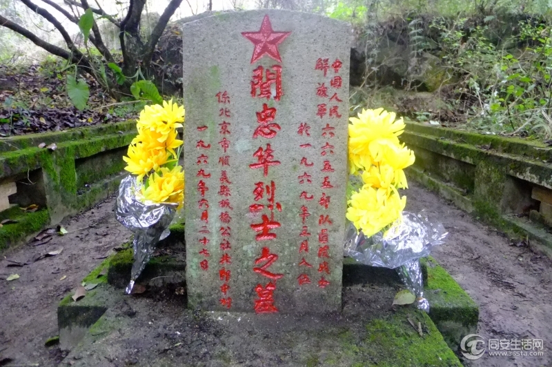终于描好了，