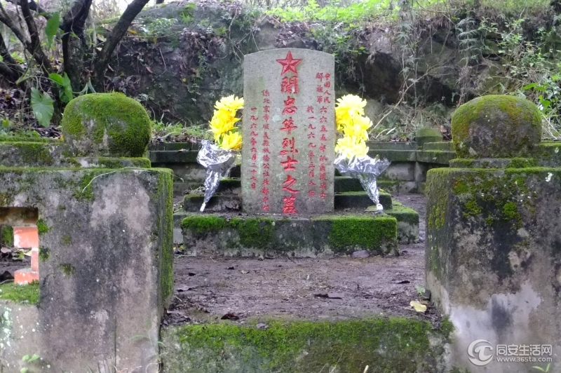 闻中华烈士，安息吧！