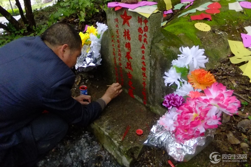 一丝不苟，