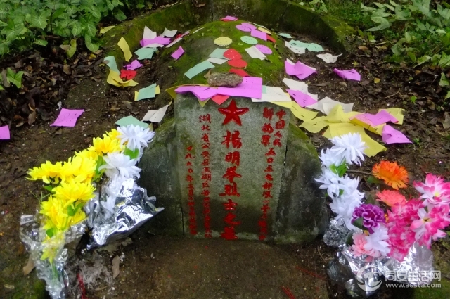 DSCF5352.jpg