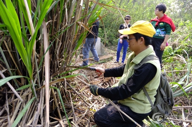 DSCF5391.jpg