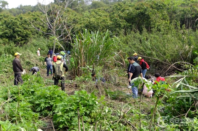 DSCF5405.jpg
