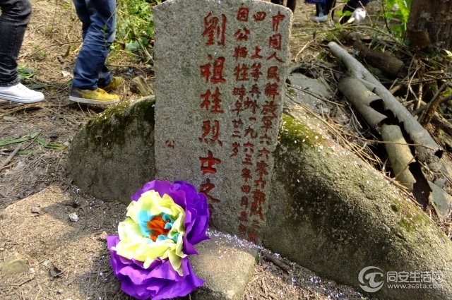 DSCF5439.jpg