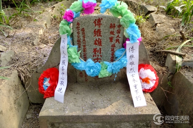 DSCF5443.jpg