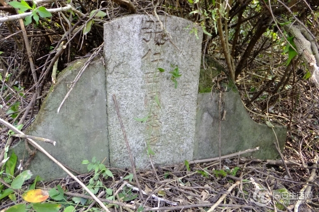 DSCF5448.jpg