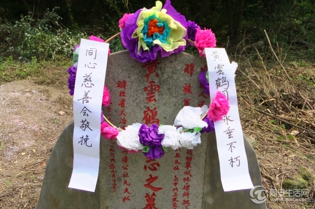 DSCF5556.jpg