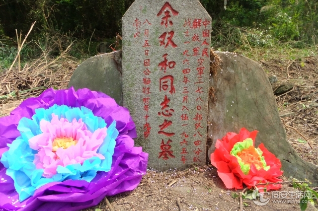 DSCF5558.jpg