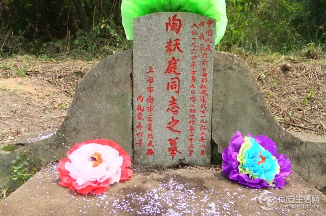 DSCF5559.jpg
