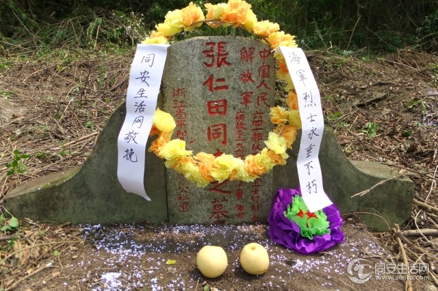 DSCF5560.jpg