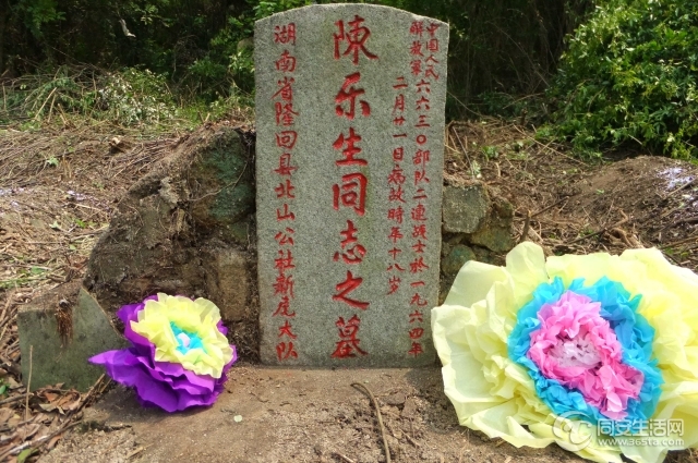 DSCF5561.jpg