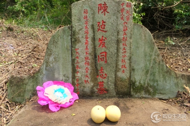 DSCF5562.jpg