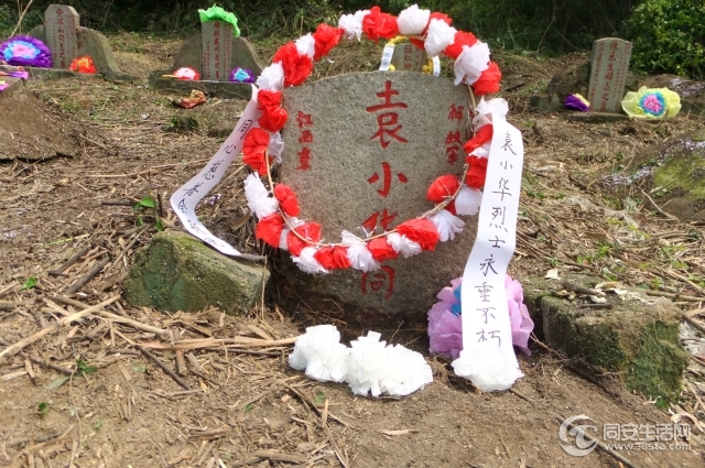 DSCF5584.jpg