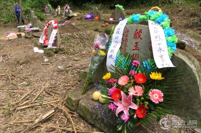 DSCF5587.jpg