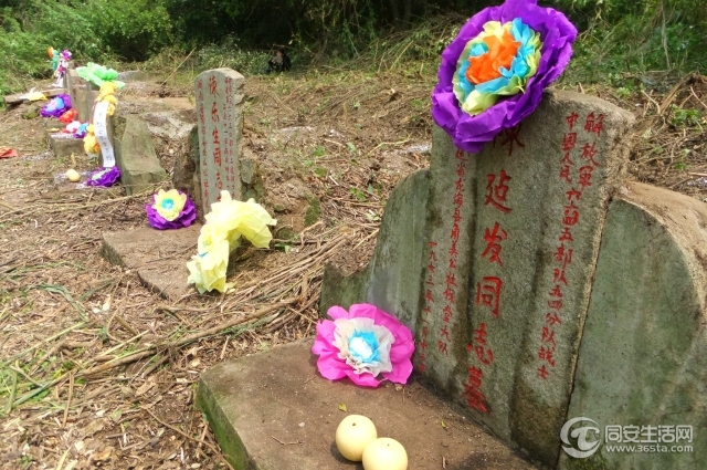DSCF5589.jpg
