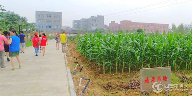20140527_091708_副本.jpg