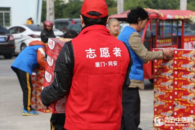 File378.jpg