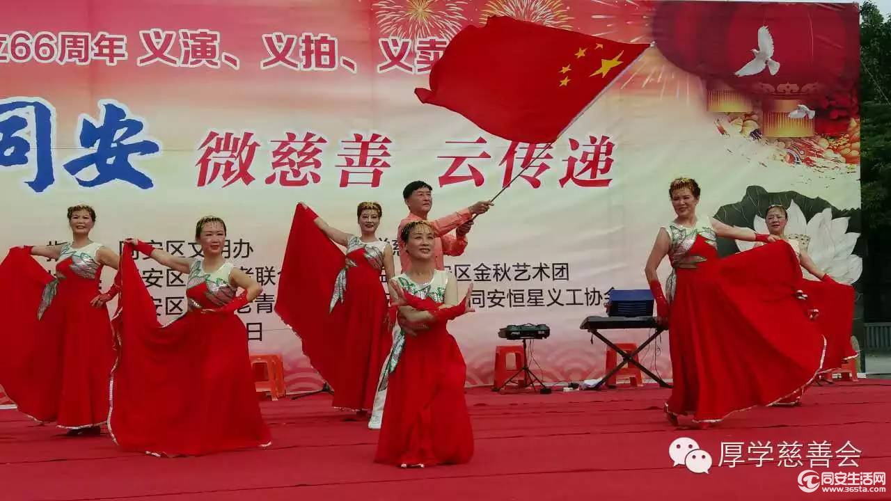 ac29c73296347429c136d902638e1065.jpg