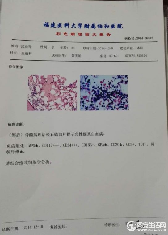 vshop823791323-wholesale-apply-1447728363.jpg