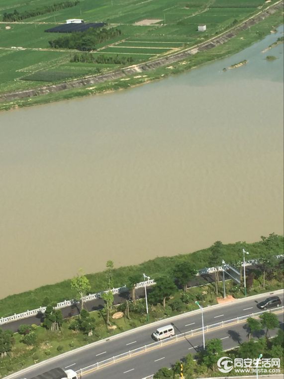 河水