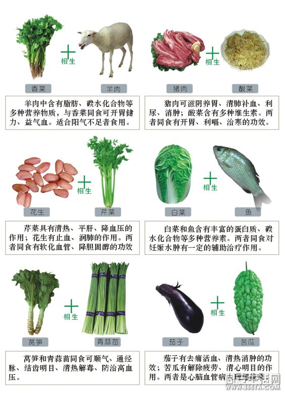 食物相生相克图表 - 厝边头尾 - 同安生活网 - powered by discuz!